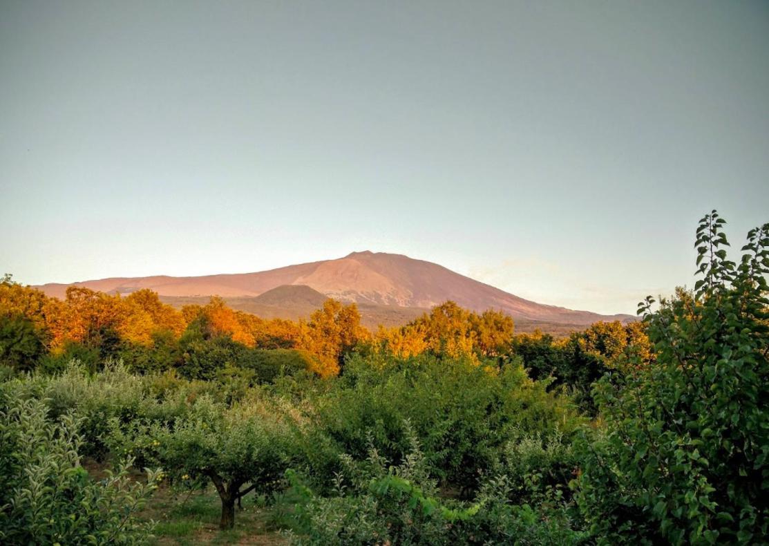 Mount Etna Chalet Maletto エクステリア 写真