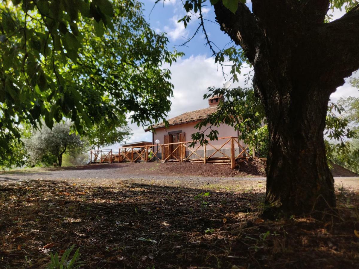 Mount Etna Chalet Maletto エクステリア 写真