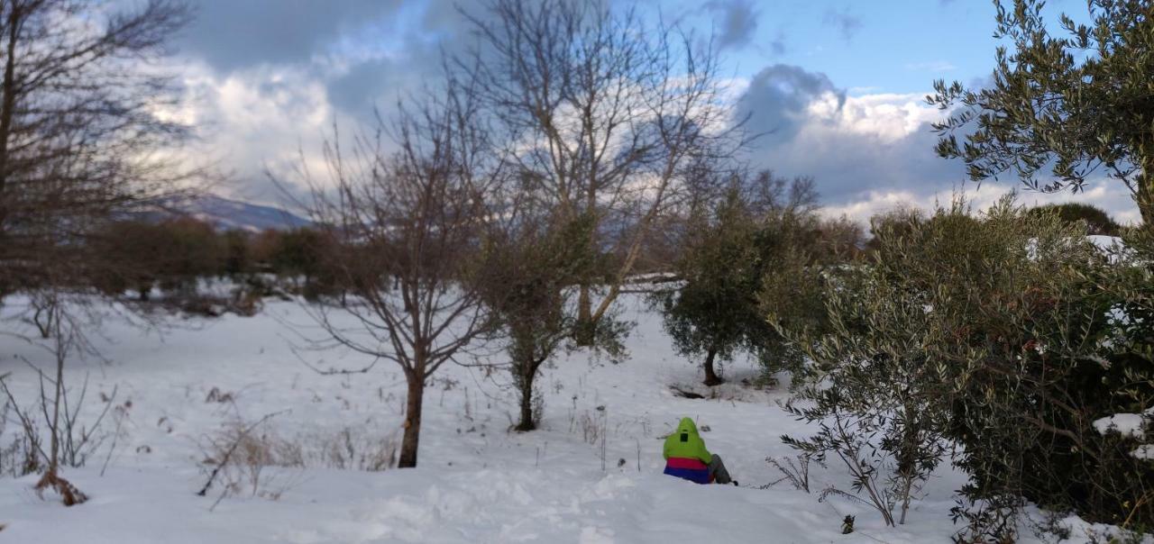 Mount Etna Chalet Maletto エクステリア 写真